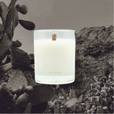 calabria - coastal interludes - scented candle - fig leaf, coconut, cedarwood - the ooo collective